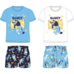 Conjunto de verão Bluey