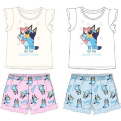 Conjunto de verão Bluey