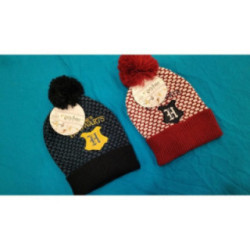 Gorro Harry Potter