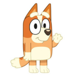 Almofada 3D Ringo Bluey