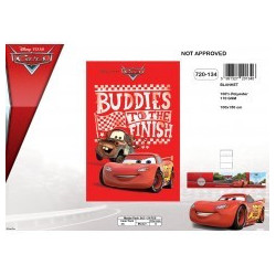 Manta polar Disney Cars